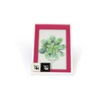 MARCO HOME COLLECTION COLORES VARIOS - Imagen 5